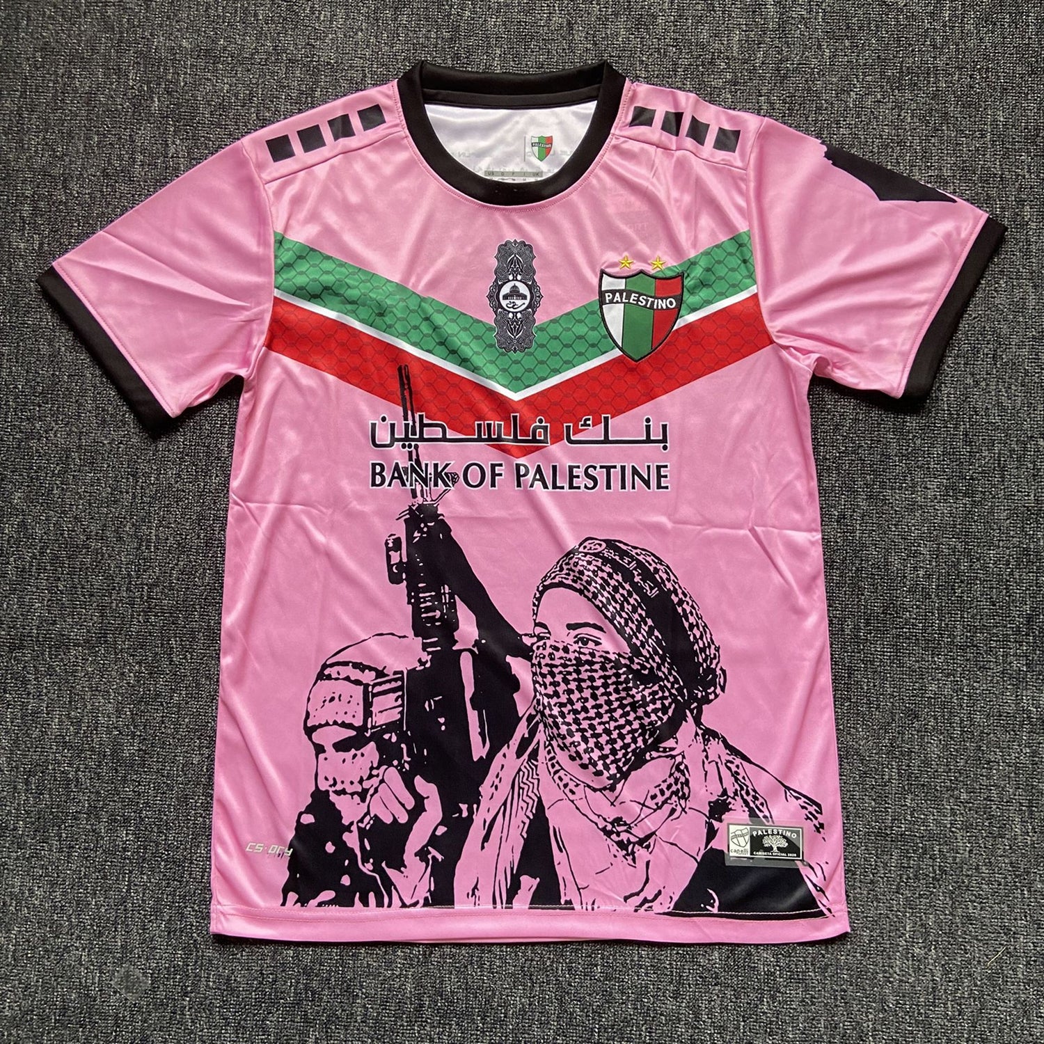 Bank of Palestine Tee – Visual Resistance (Pink)